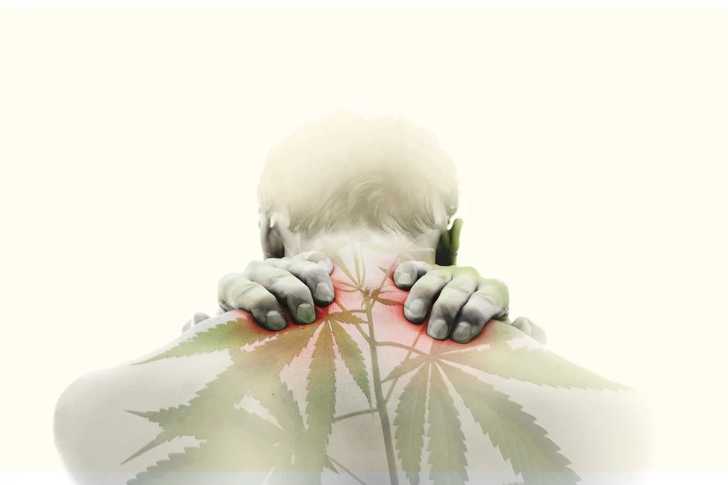 The Pharmacology of Cannabinoids in Chronic Pain. Med Cannabis Cannabinoids. 2025