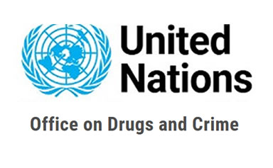 UNDOC (United Nations Office on Drug and Crime) Online World Drug Report 2024—Drug Market Patterns and Trends. [(accessed on 11 October 2024)]