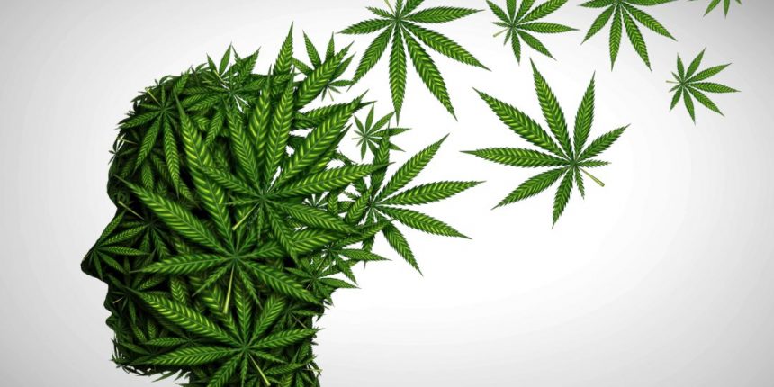 Does Cannabis Use Contribute to Schizophrenia? A Causation Analysis Based on Epidemiological Evidence. Biomolecules. 2025