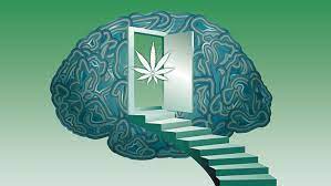 Development and initial validation of the cannabis-related psychosis risk literacy scale (CPRL): a multinational psychometric study.BMC Psychiatry. 2024