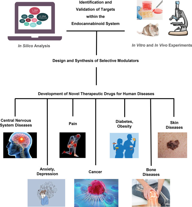 Goods and Bads of the Endocannabinoid System as a Therapeutic Target: Lessons Learned after 30 Years. Pharmacol Rev. 2023