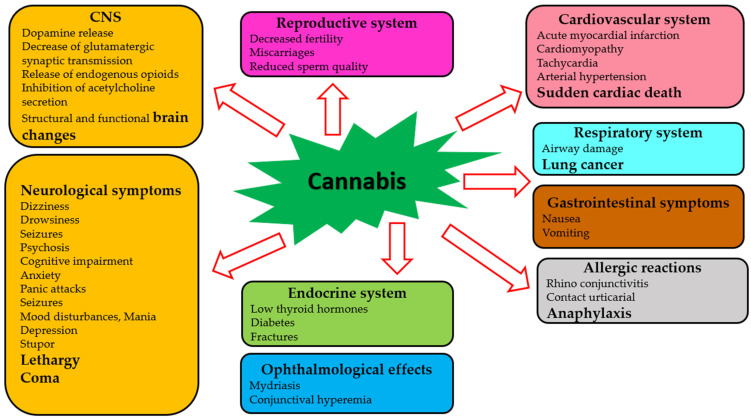 Cannabis as a Source of Approved Drugs: A New Look at an Old Problem. Molecules. 2023