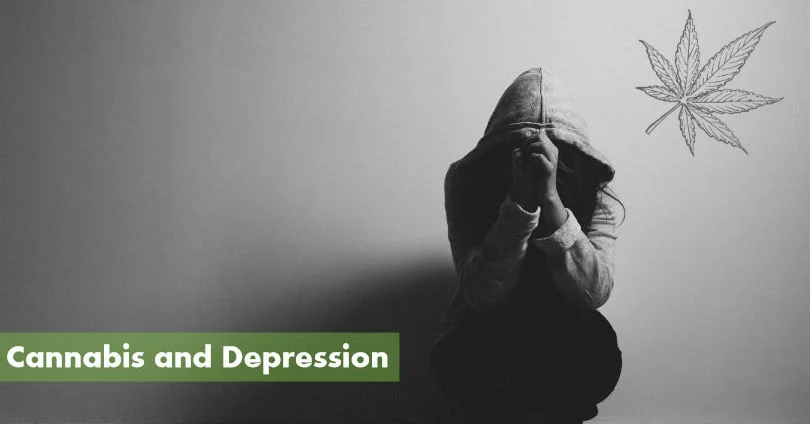 Haller J. Herbal Cannabis and Depression: A Review of Findings Published over the Last Three Years. Pharmaceuticals (Basel). 2024 M