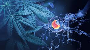Cannabis and cannabinoids for symptomatic treatment for people with multiple sclerosis. Cochrane Database Syst Rev. 2022