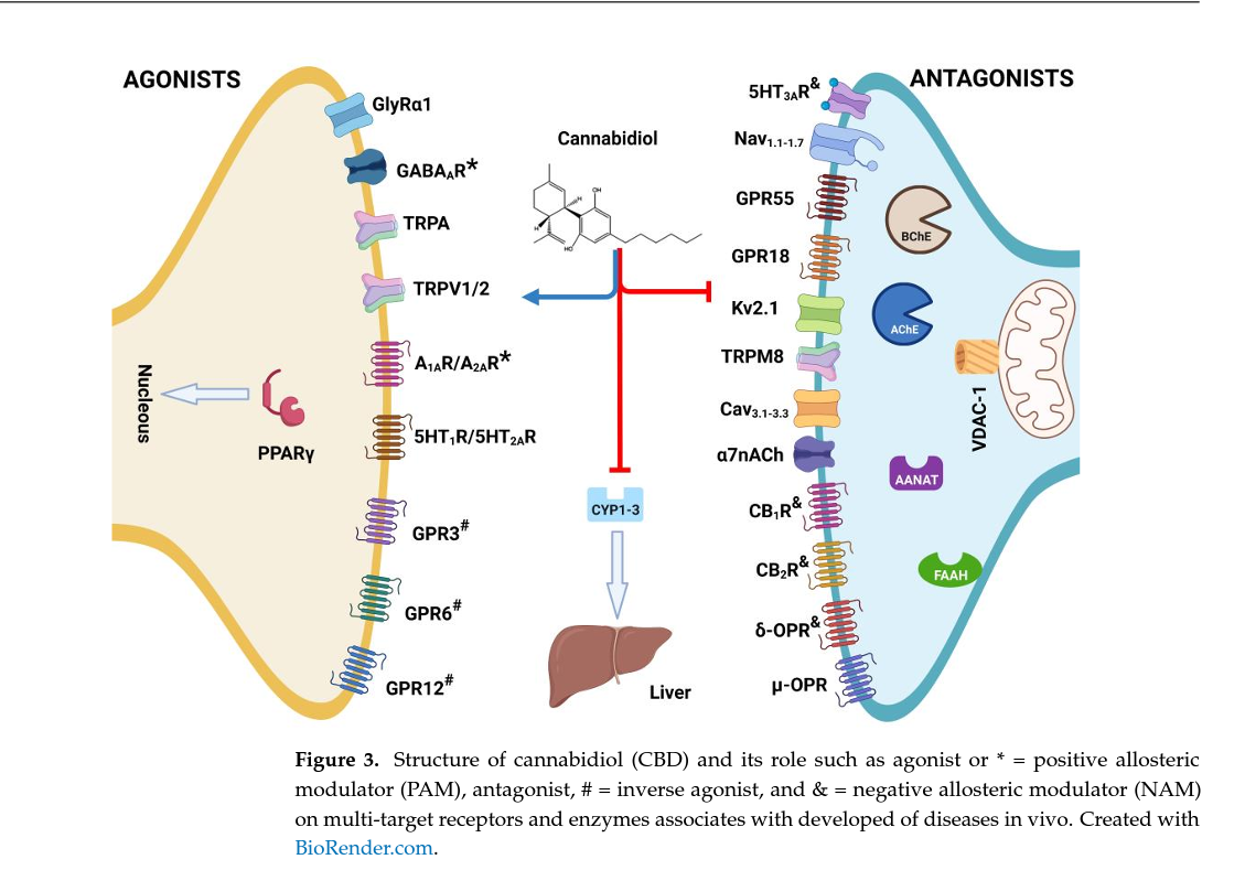 The Polypharmacological Effects of Cannabidiol. Molecules. 2023