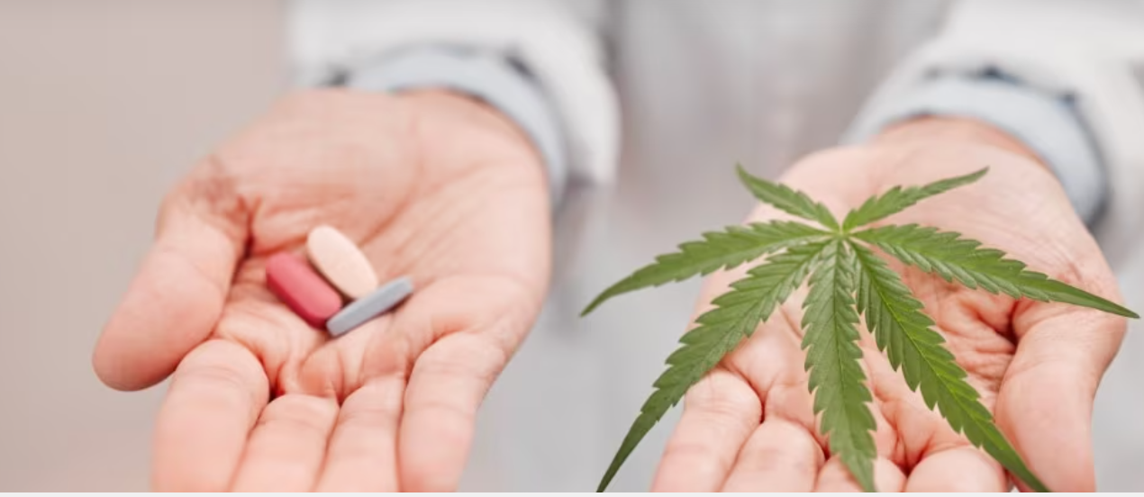 The Therapeutic Potential of Cannabidiol in Revolutionising Opioid Use Disorder Management. Cureus. 2023