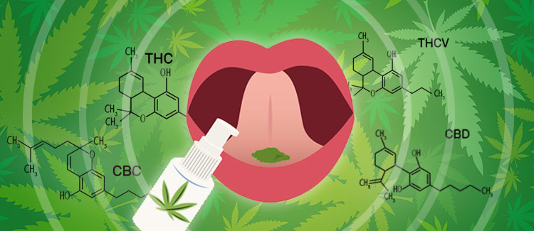 Role of Cannabinoids in Oral Cancer. Int J Mol Sci. 2024