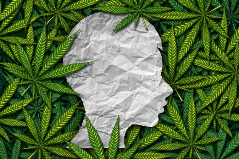 Tetrahydrocannabinol in Pediatrics: Room for Improvement? Med Cannabis Cannabinoids. 2023 Oct