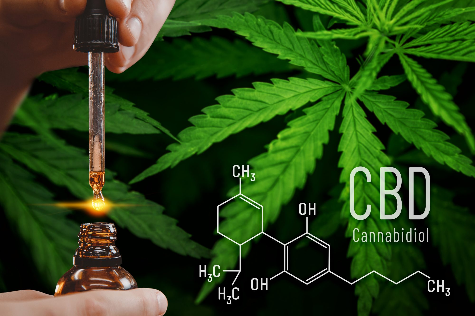 Effects of Two Cannabidiol Oil Products on Self-Reported Stress Relief: A Quasi-Experimental Study. Med Cannabis Cannabinoids. 2023 Nov