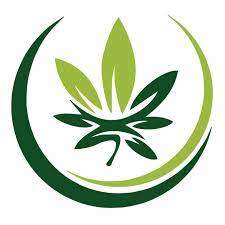The holistic effects of medical cannabis compared to opioids on pain experience in Finnish patients with chronic pain. J Cannabis Res. 2023 Nov 9;5(1):38.
