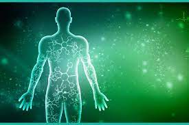 The Endocannabinoid System: A Target for Cancer Treatment. Int J Mol Sci. 2020