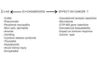 Impact of cannabinoids on cancer outcomes in patients receiving immune checkpoint inhibitor immunotherapy. Front Immunol. 2025