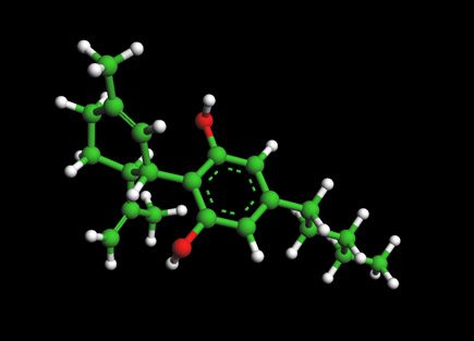 Molecular and Cellular Mechanisms of Action of Cannabidiol. Molecules. 2023