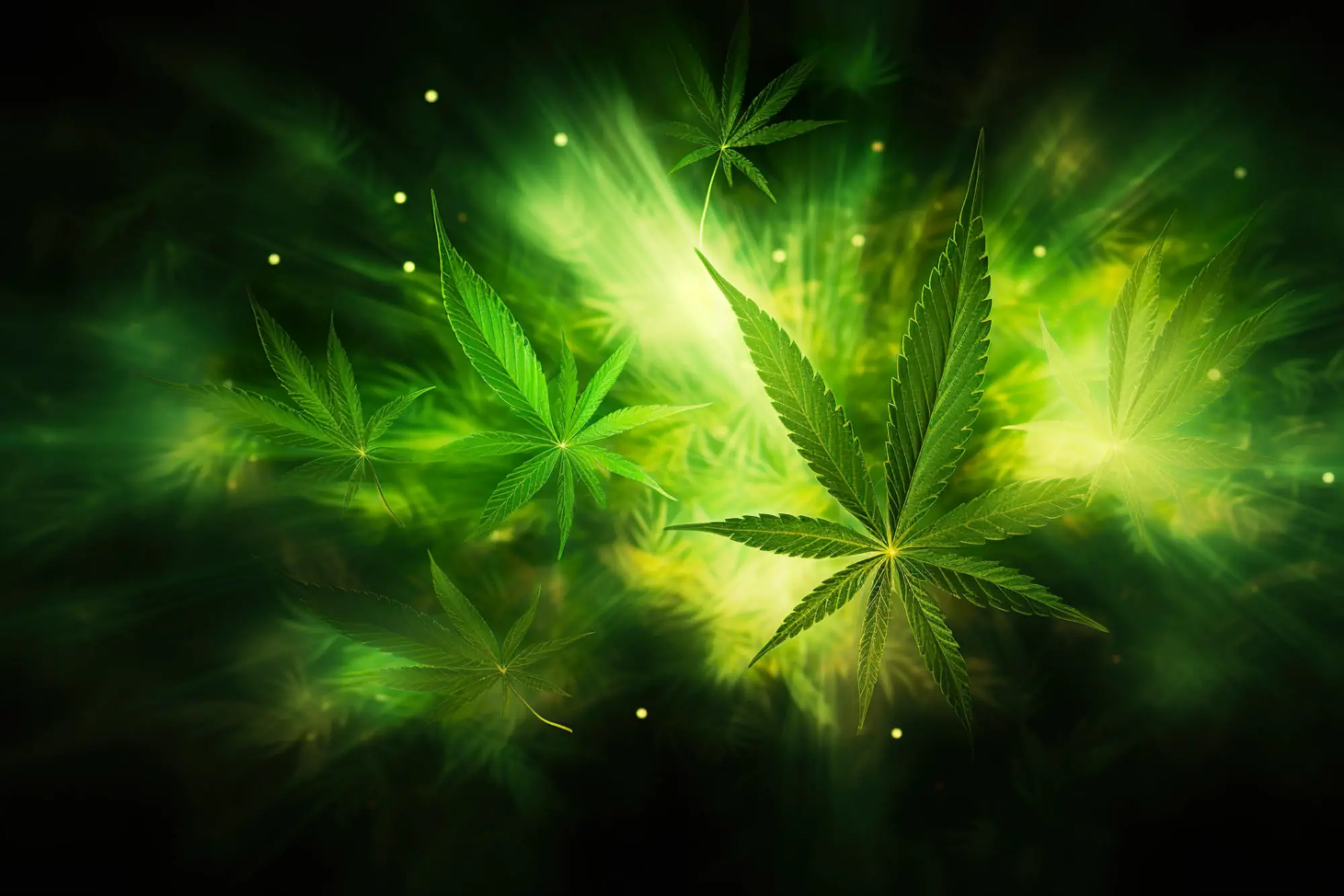 Effects of Cannabidiol in Inflammation: A Review of Pre-clinical and Clinical Findings. Prague Med Rep. 2023