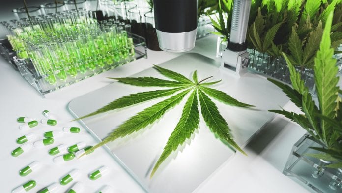Meccariello R. Molecular Advances on Cannabinoid and Endocannabinoid Research. Int J Mol Sci. 2023