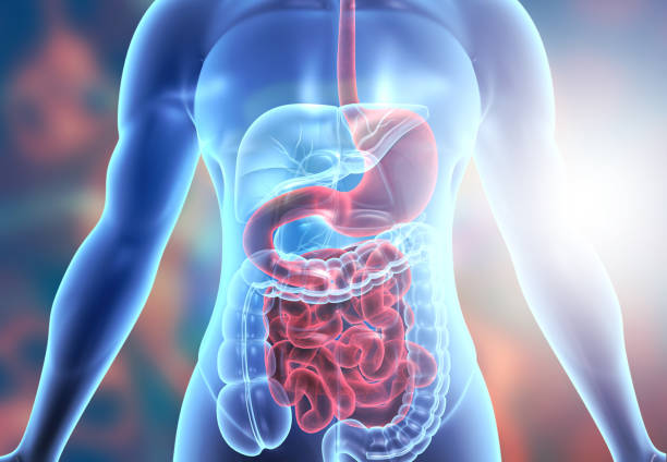 High-CBD cannabis extracts inhibit the expression of proinflammatory factors via miRNA-mediated silencing in human small intestinal epithelial cells. Heliyon. 2023