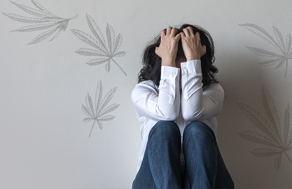 Prophylactic Effects of Hemp Seed Oil on Perimenopausal Depression: A Role of HPA Axis. J Oleo Sci. 2023