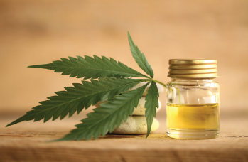 To Weed or Not to Weed: A Systematic Review Exploring the Potential for Cannabis Use in Cardiovascular Disease, Mental Health and Pain Management. Cureus. 2023