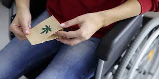 valuating Vaporized Cannabinoid Therapy in Multiple Sclerosis: Findings from a Prospective Single-Center Clinical Study. J Clin Med. 2025