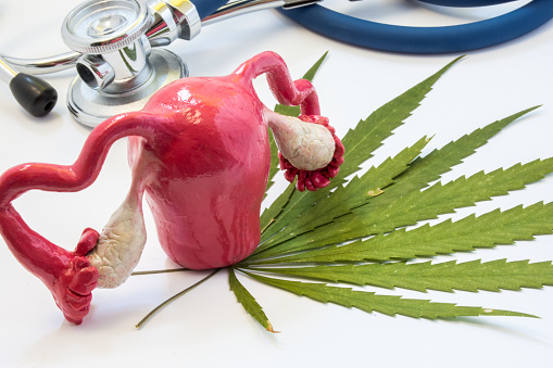 Could cannabinoids provide a new hope for ovarian cancer patients? Pharmacol Res Perspect. 2023