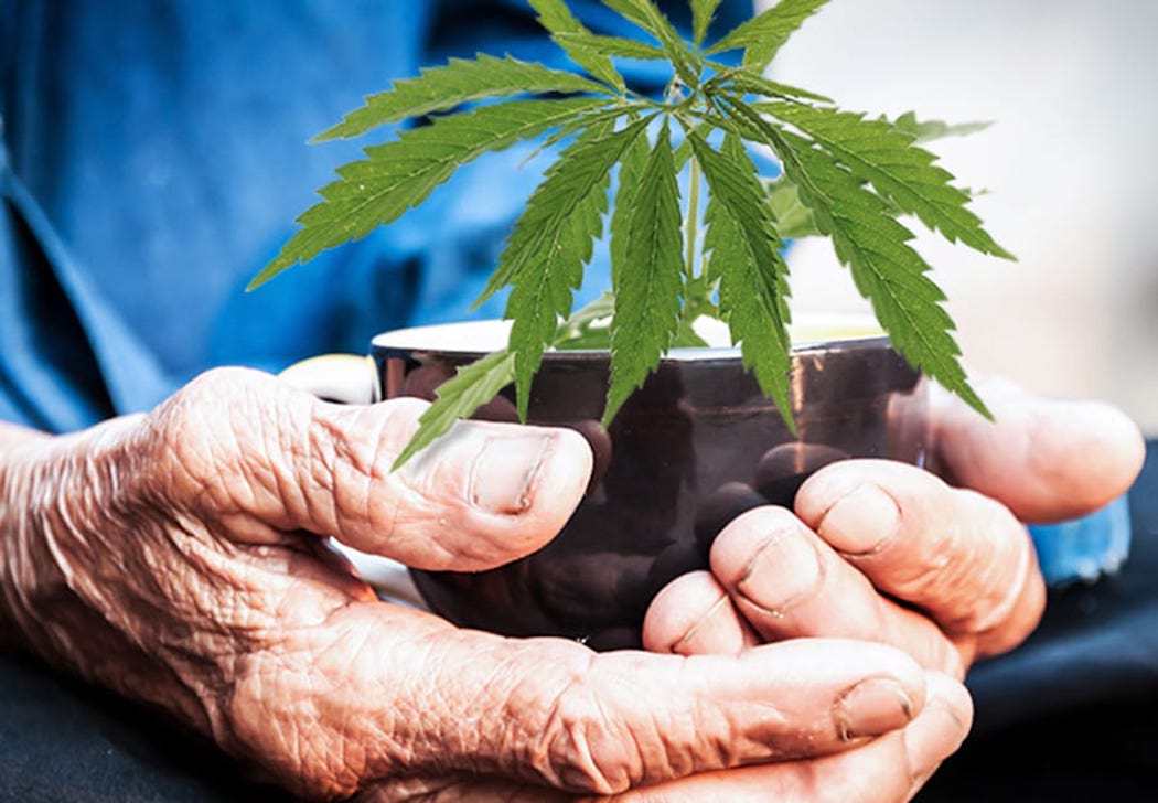 Effects of medical and non-medical cannabis use in older adults: protocol for a scoping review. BMJ OPEN 2020.