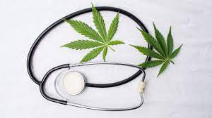 Medical Reasons for Marijuana Use, Forms of Use,and Patient Perception of Physician Attitudes Among the US Population.J Gen Intern Med. 2020